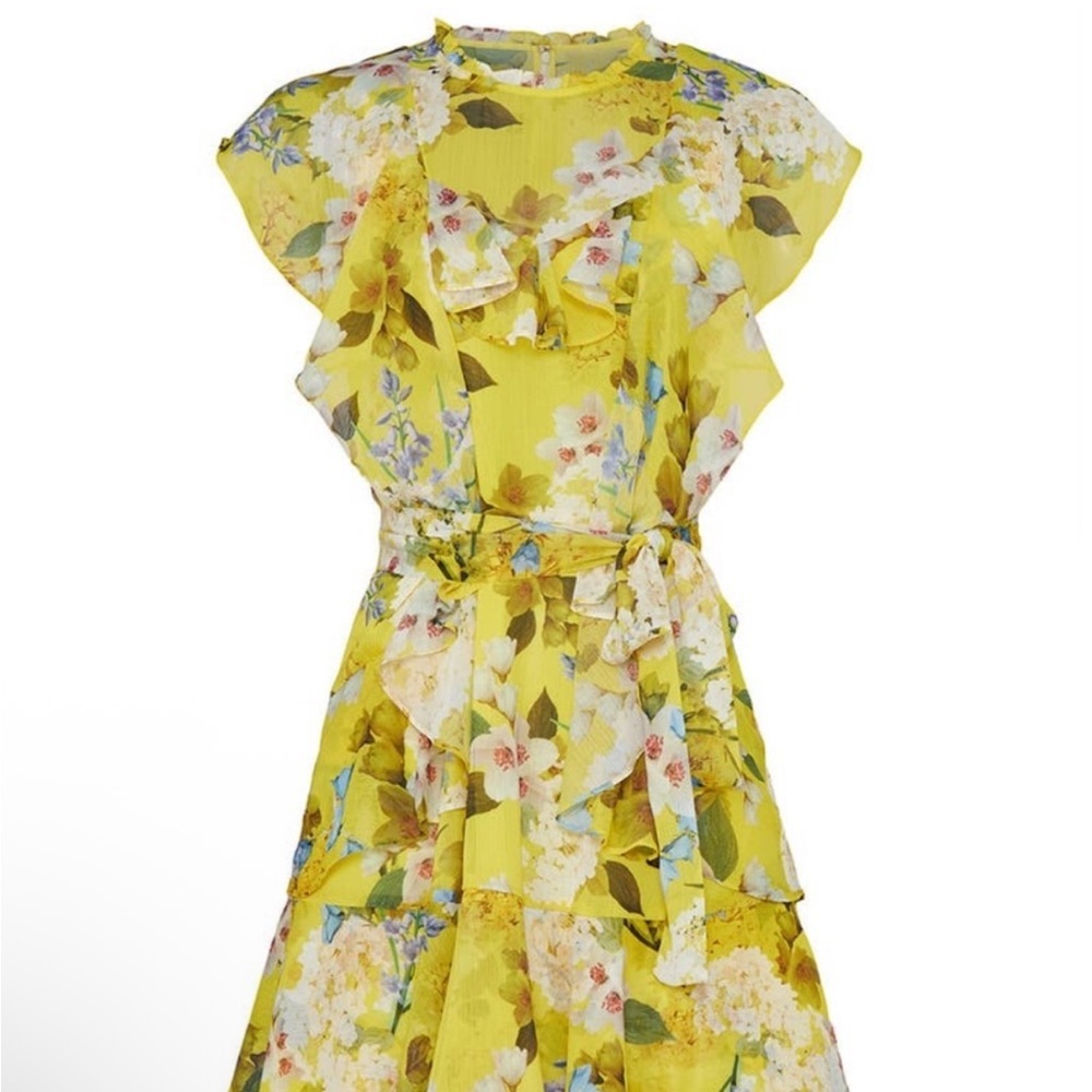 Marissa Webb Collective Ruffle Floral Mini Dress sz4 - Picture 4 of 8